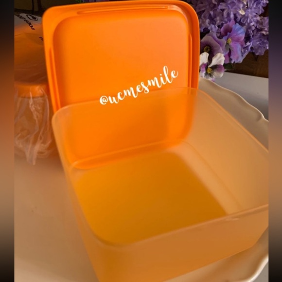 Tupperware Square Rounds Freeze It Container Set - Picture 3 of 5